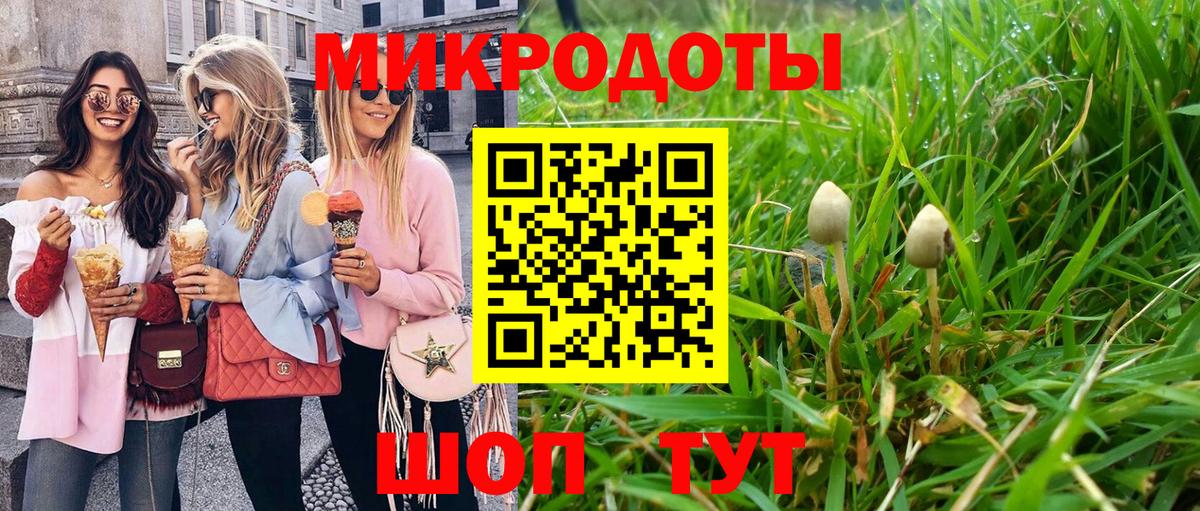 Псилоцибиновые грибы Psilocybine cubensis  Галлюциногенные грибы мухоморы  Вход с VPN  Истра 
