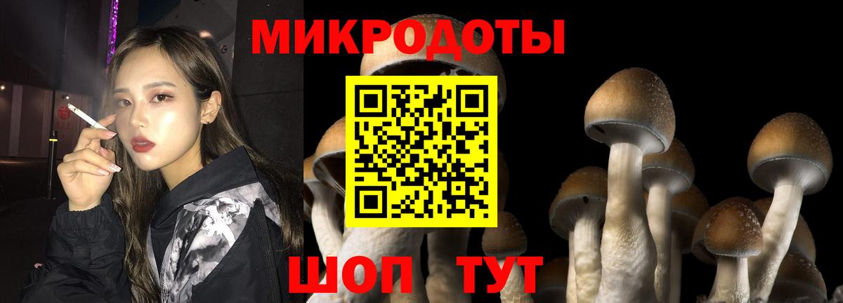 Галлюциногенные грибы ЛСД Истра